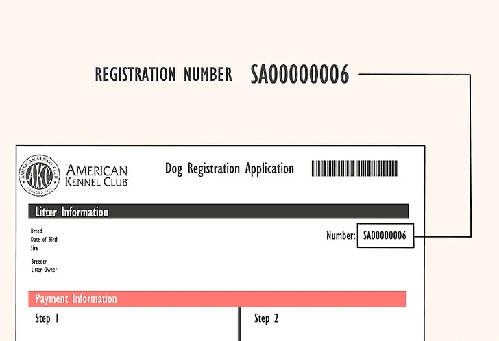 Register With AKC